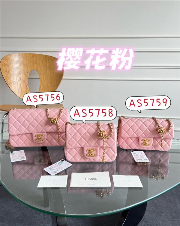 2026131214223412 660